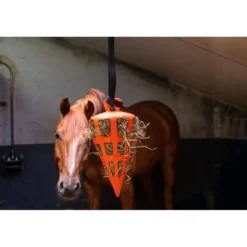 Excellent Slowfeeder Fun and Flex Wortel Oranje