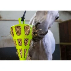 Excellent Slowfeeder Fun and Flex Wortel Groen