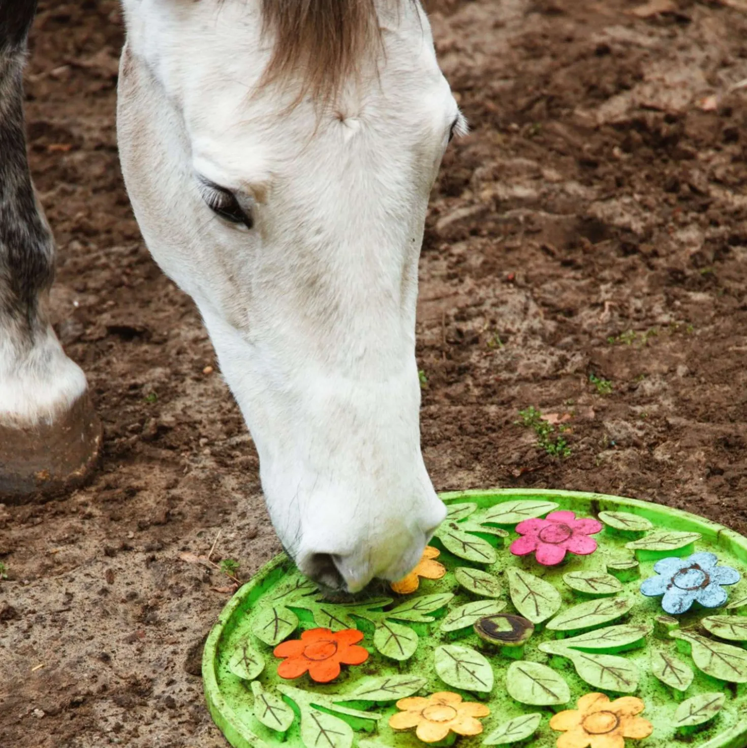 Excellent Snuffelmat Horse Flower Power