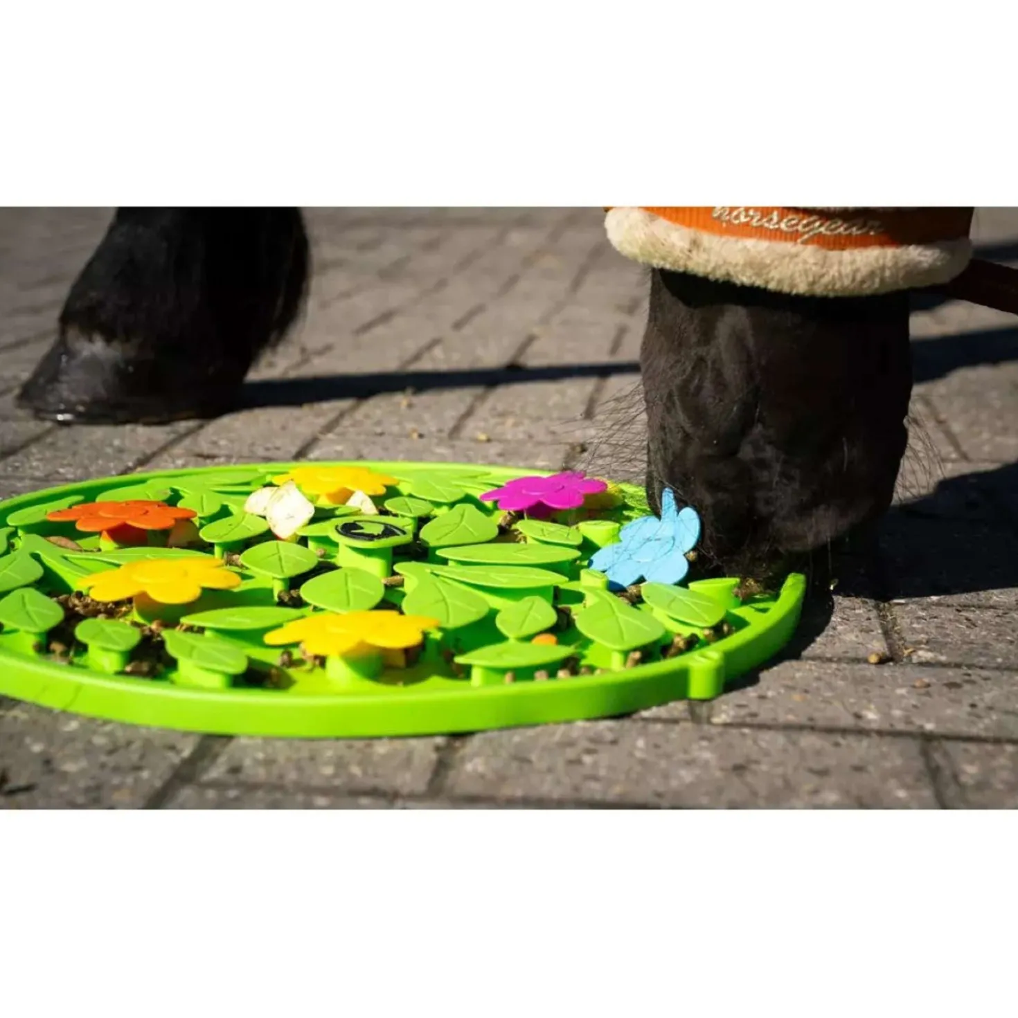 Excellent Snuffelmat Horse Flower Power