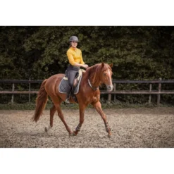 F.R.A. Balansteugel Whisper Bruin