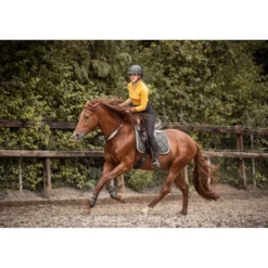 F.R.A. Balansteugel Whisper Bruin