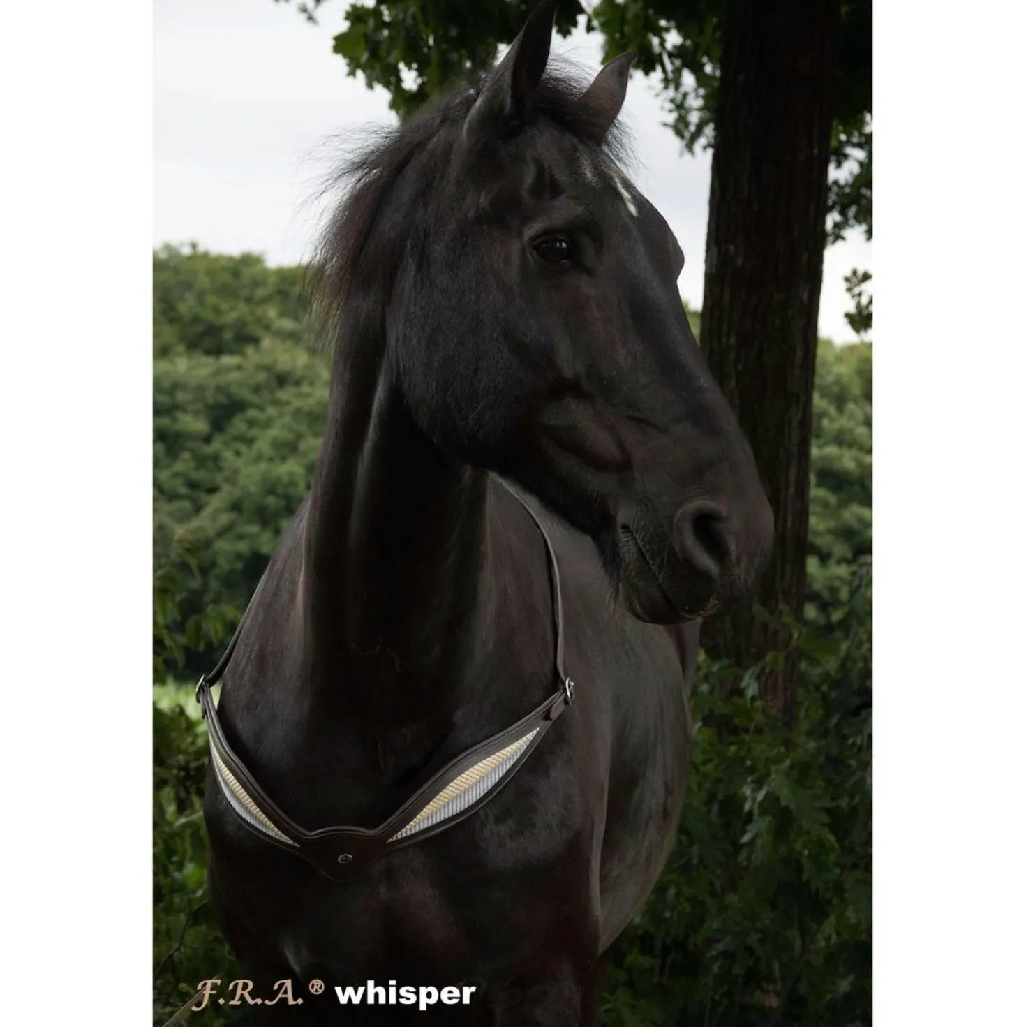 F.R.A. Balansteugel Whisper Bruin