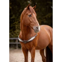 F.R.A. Balansteugel Whisper Bruin