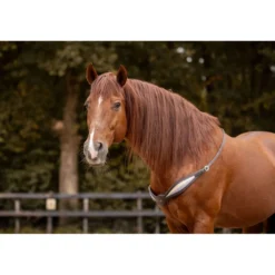 F.R.A. Balansteugel Whisper Bruin