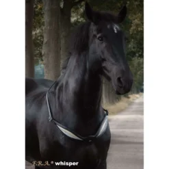 F.R.A. Balansteugel Whisper Zwart