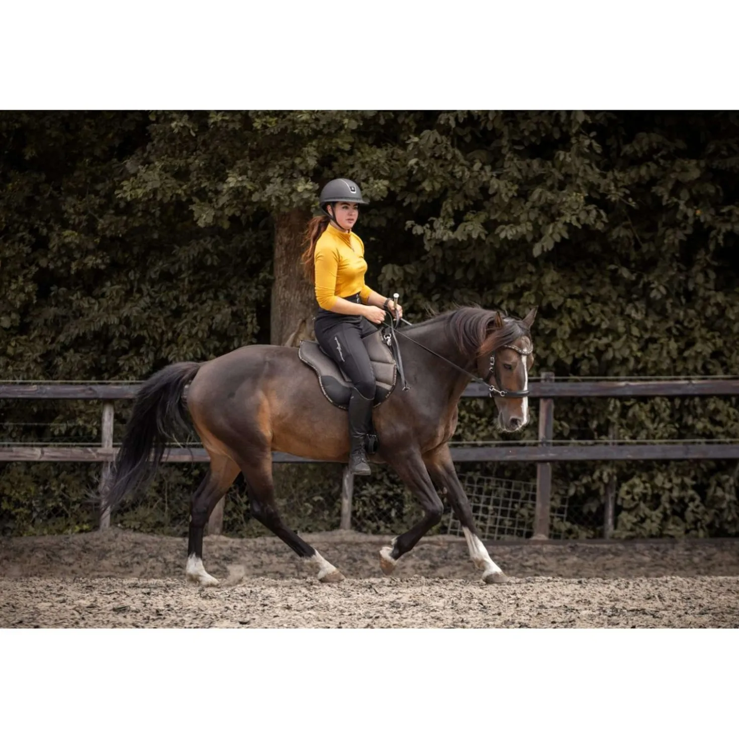 F.R.A. Bareback Pad Dardo Basic Bling Bling