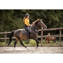 F.R.A. Bareback Pad Dardo Basic Bling Bling