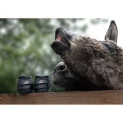 F.R.A. Cavallo Hoefschoen Ezel/Long Ear Boot Zwart