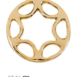 F.R.A. Hackamore Scharen Star Set Brass
