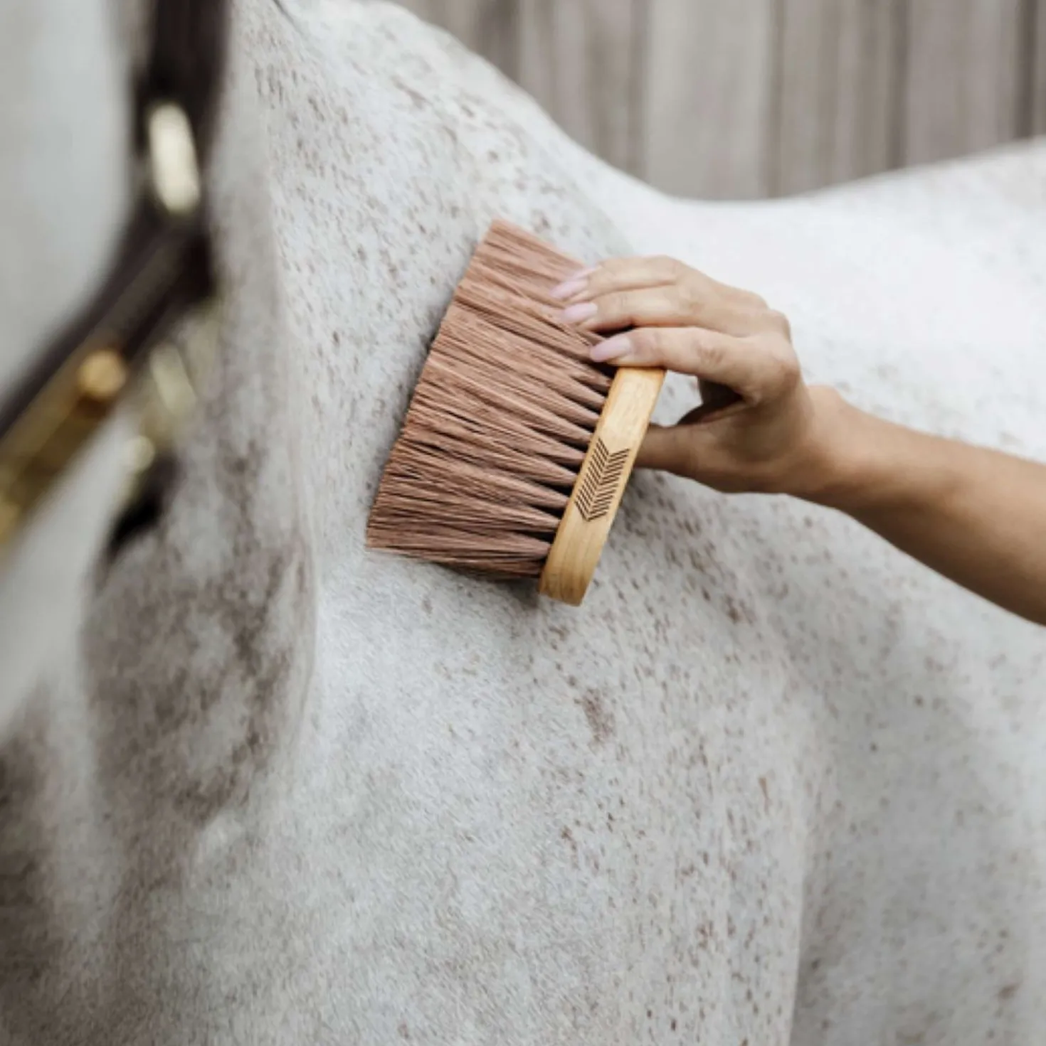 Grooming Deluxe by Kentucky Borstel Middle Bruin