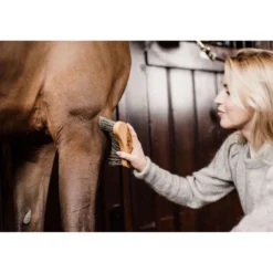 Grooming Deluxe by Kentucky Borstel Middel Hard