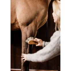 Grooming Deluxe by Kentucky Borstel Middel Hard