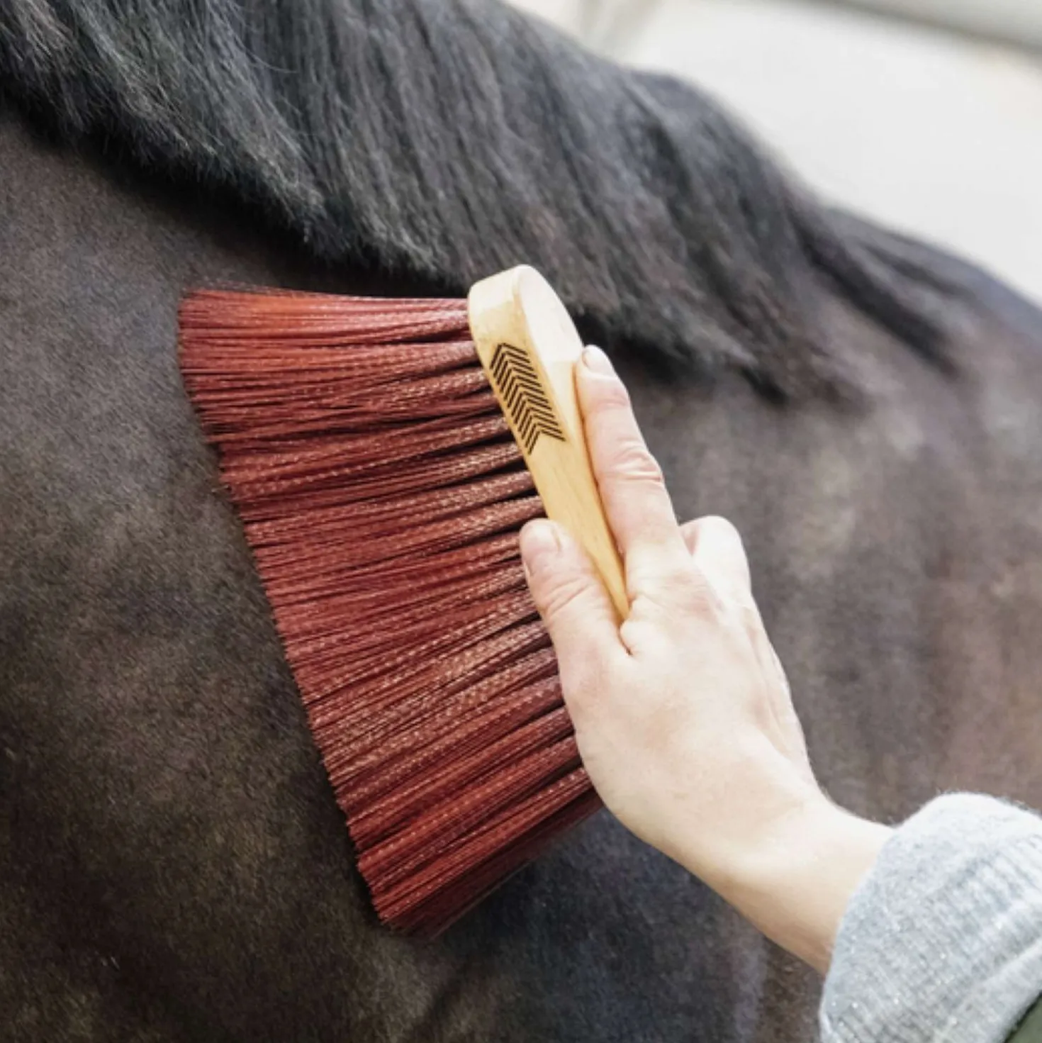 Grooming Deluxe by Kentucky Borstel Middle Long Bruin