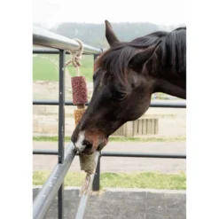 Grooming Deluxe by Kentucky Relax Horse Toy Wooden De-Stress