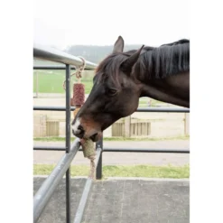 Grooming Deluxe by Kentucky Relax Horse Toy Wooden De-Stress