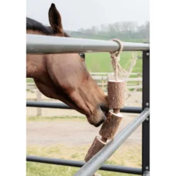 Grooming Deluxe by Kentucky Relax Horse Toy Wooden Made by Nature