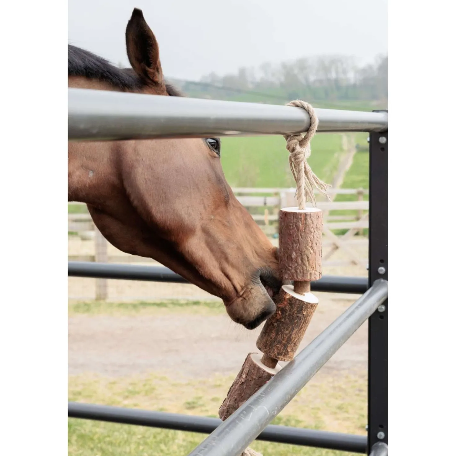 Grooming Deluxe by Kentucky Relax Horse Toy Wooden Made by Nature