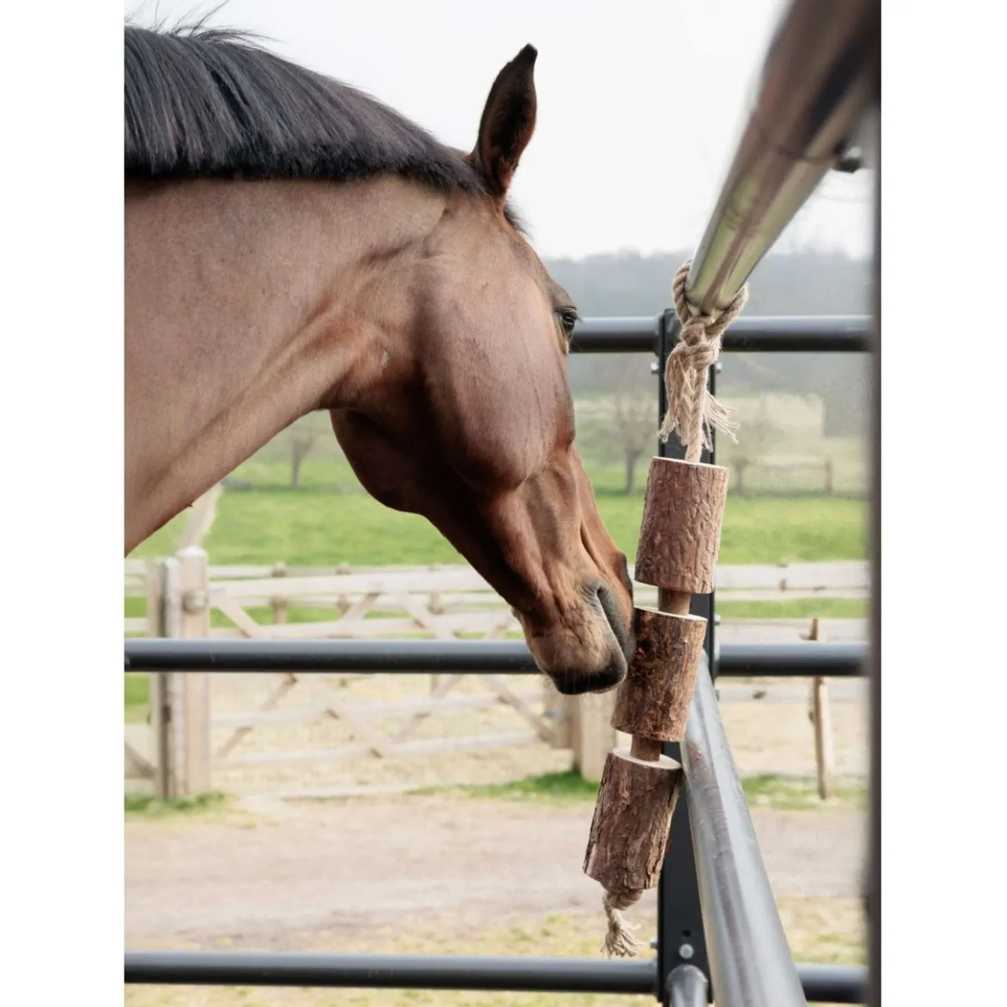 Grooming Deluxe by Kentucky Relax Horse Toy Wooden Made by Nature