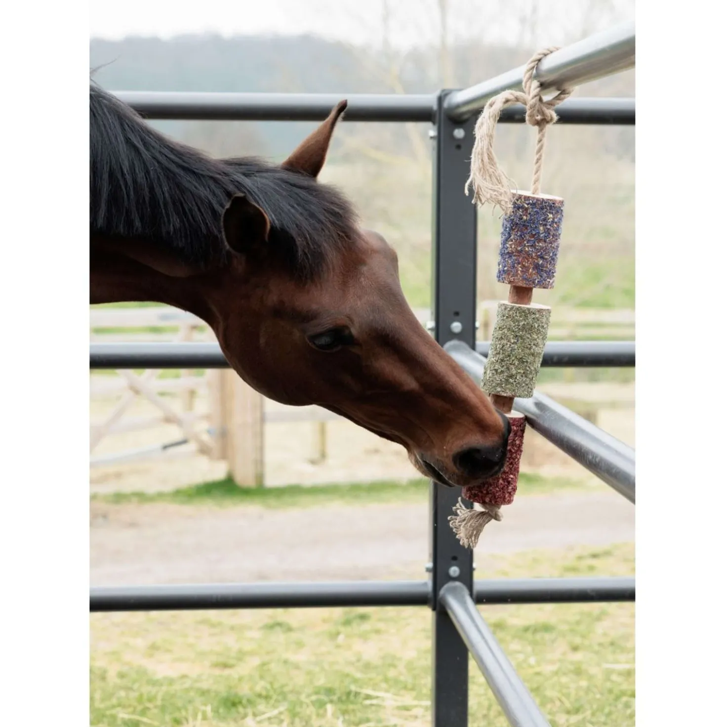 Grooming Deluxe by Kentucky Relax Horse Toy Wooden Freedom