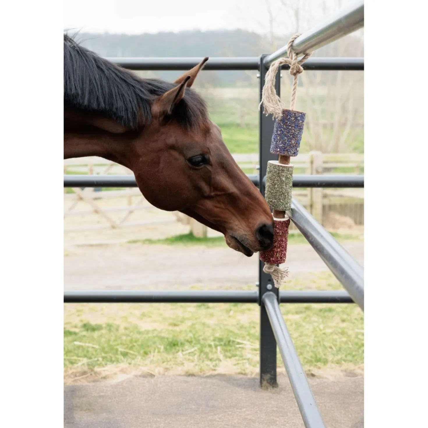 Grooming Deluxe by Kentucky Relax Horse Toy Wooden Freedom