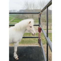 Grooming Deluxe by Kentucky Relax Horse Toy Wooden Unicorn Joy