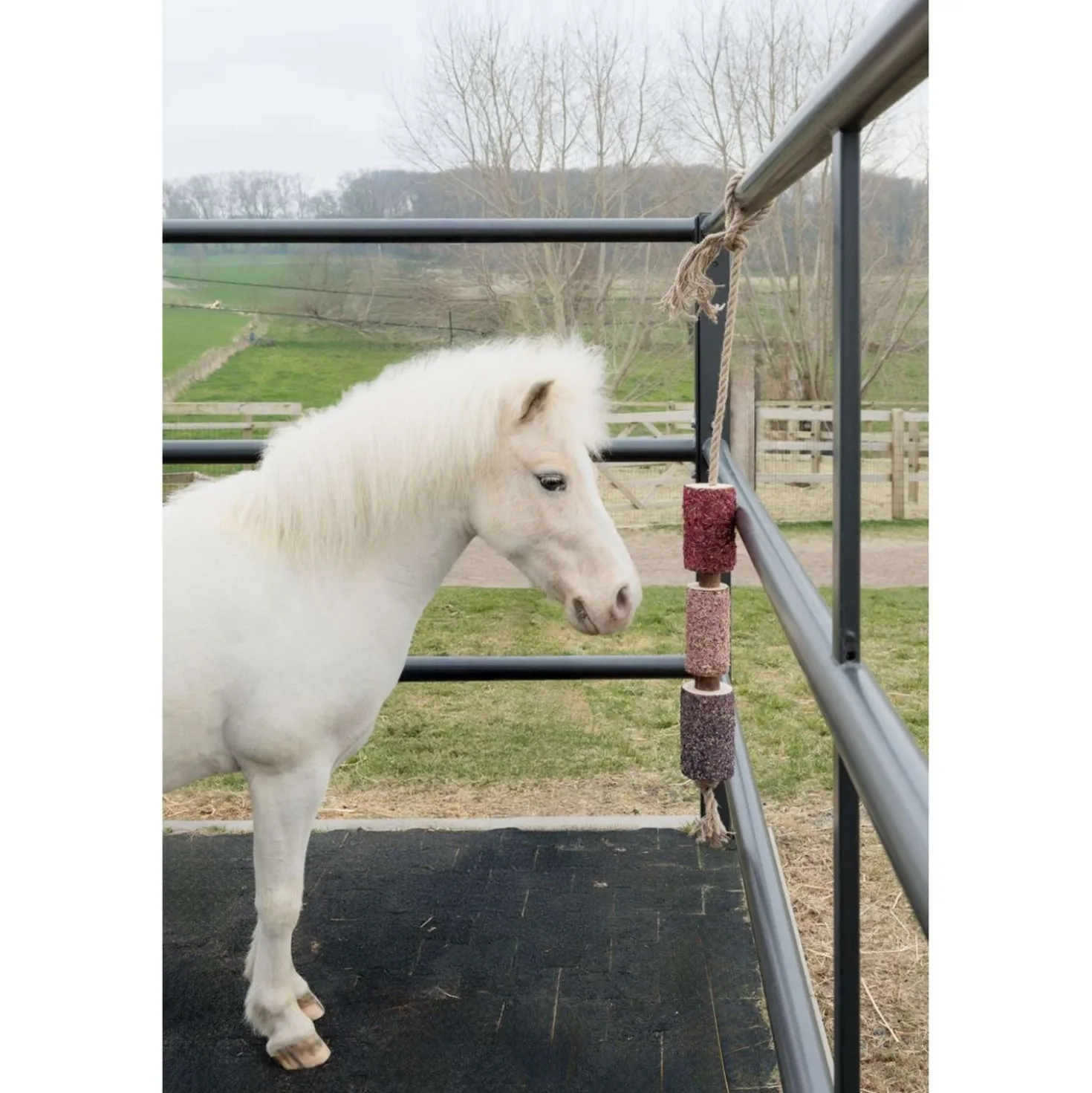 Grooming Deluxe by Kentucky Relax Horse Toy Wooden Unicorn Joy