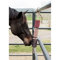Grooming Deluxe by Kentucky Relax Horse Toy Wooden Unicorn Joy