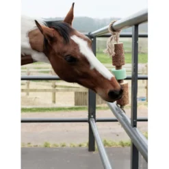 Grooming Deluxe by Kentucky Relax Horse Toy Wooden Airways with Salt Lick