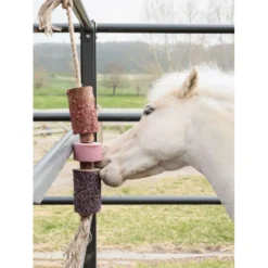 Grooming Deluxe by Kentucky Relax Horse Toy Wooden Sammy with Salt Lick