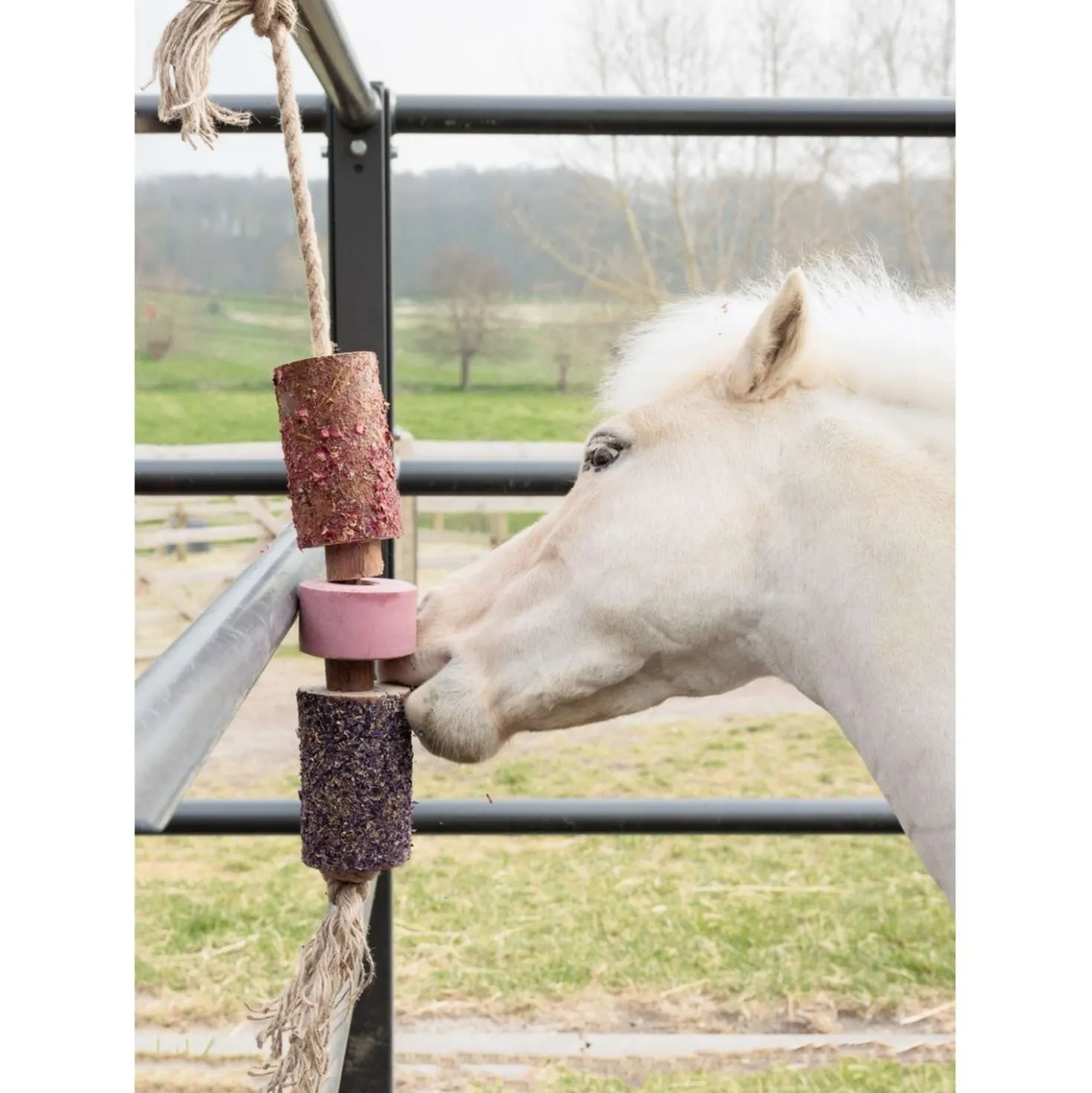 Grooming Deluxe by Kentucky Relax Horse Toy Wooden Sammy with Salt Lick