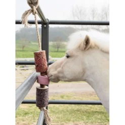 Grooming Deluxe by Kentucky Relax Horse Toy Wooden Sammy with Salt Lick