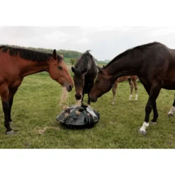 Grooming Deluxe by Kentucky Slow Feeder Play & Haybag Round