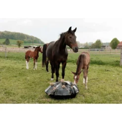 Grooming Deluxe by Kentucky Slow Feeder Play & Haybag Round