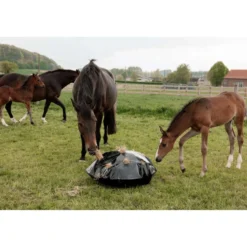 Grooming Deluxe by Kentucky Slow Feeder Play & Haybag Round