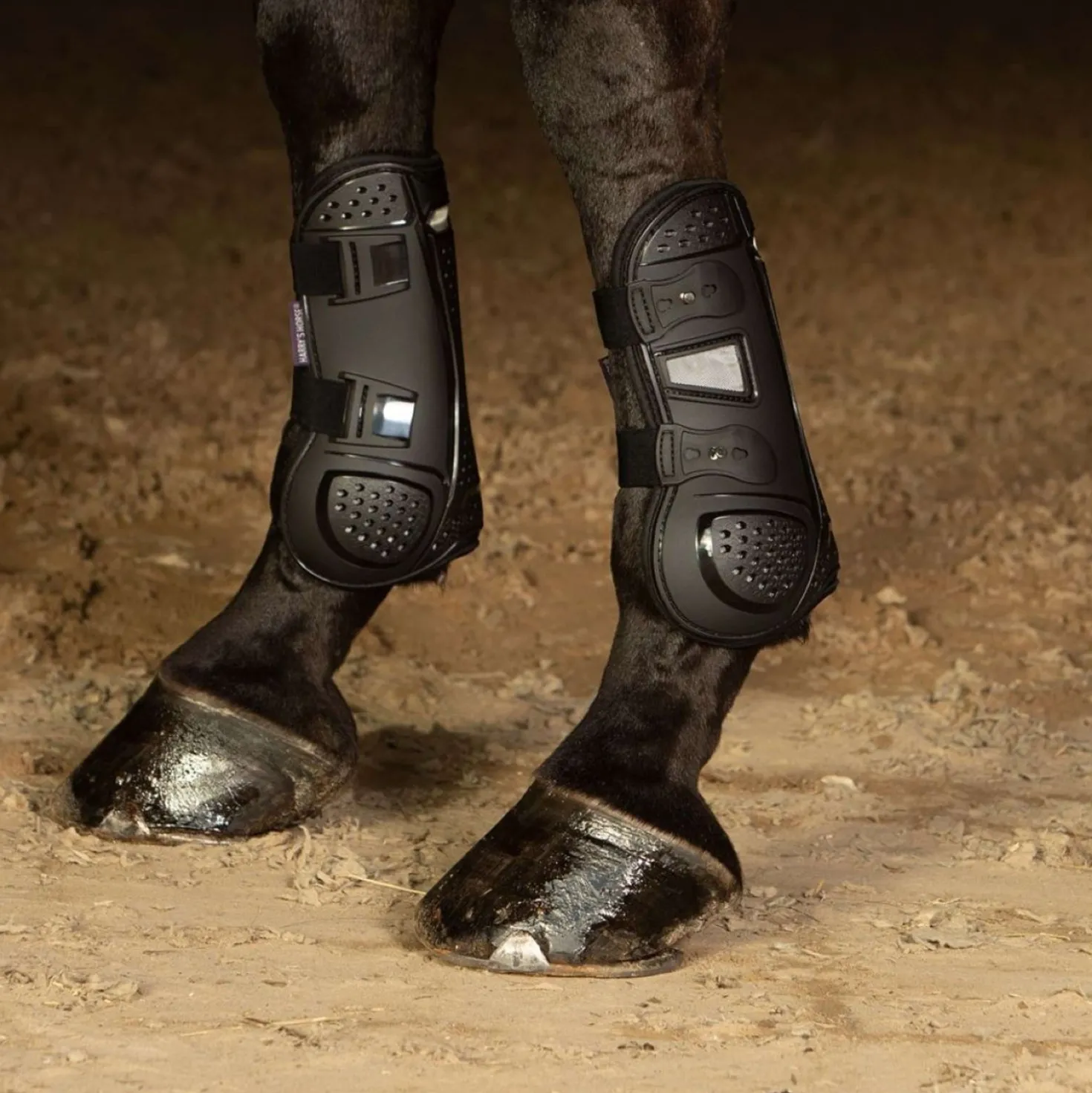 Harry's Horse Beenbeschermers Breath Zwart