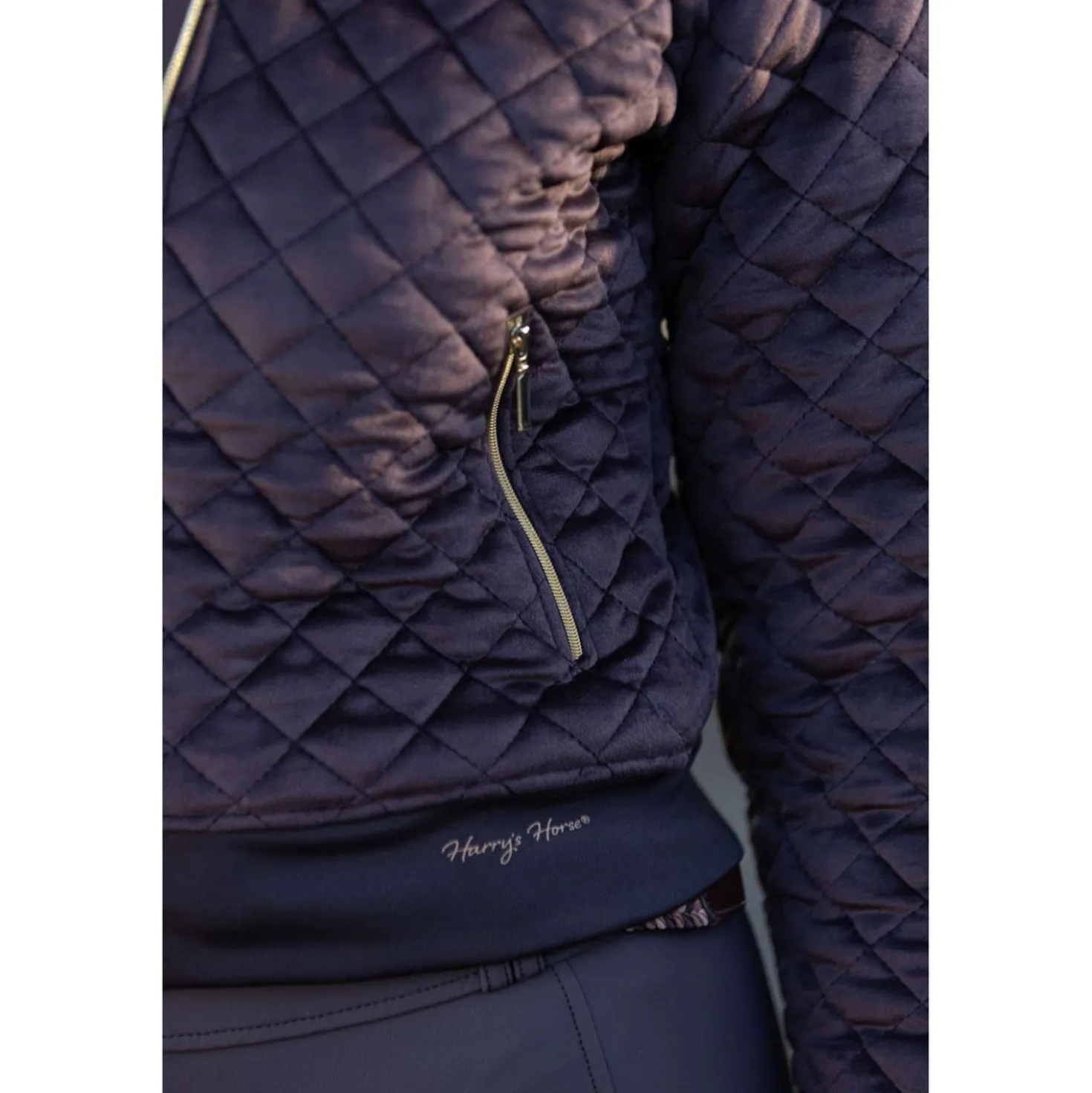 Harry's Horse Bomberjack Classy Bracken