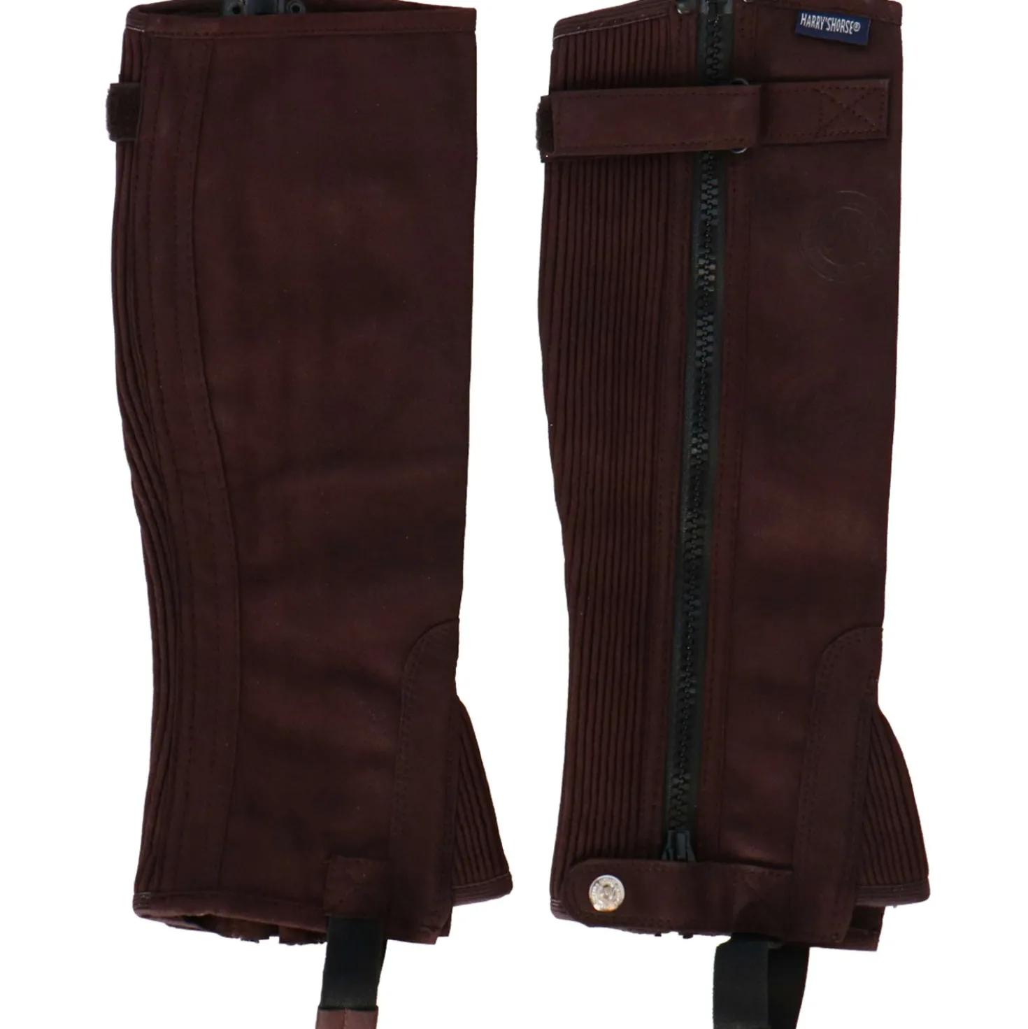 Harry's Horse Chaps Amara Regular Bruin