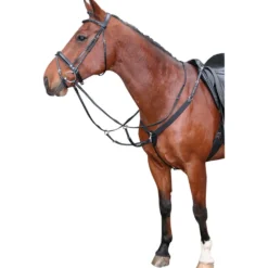 Harry's Horse Elastisch Voortuig Zwart