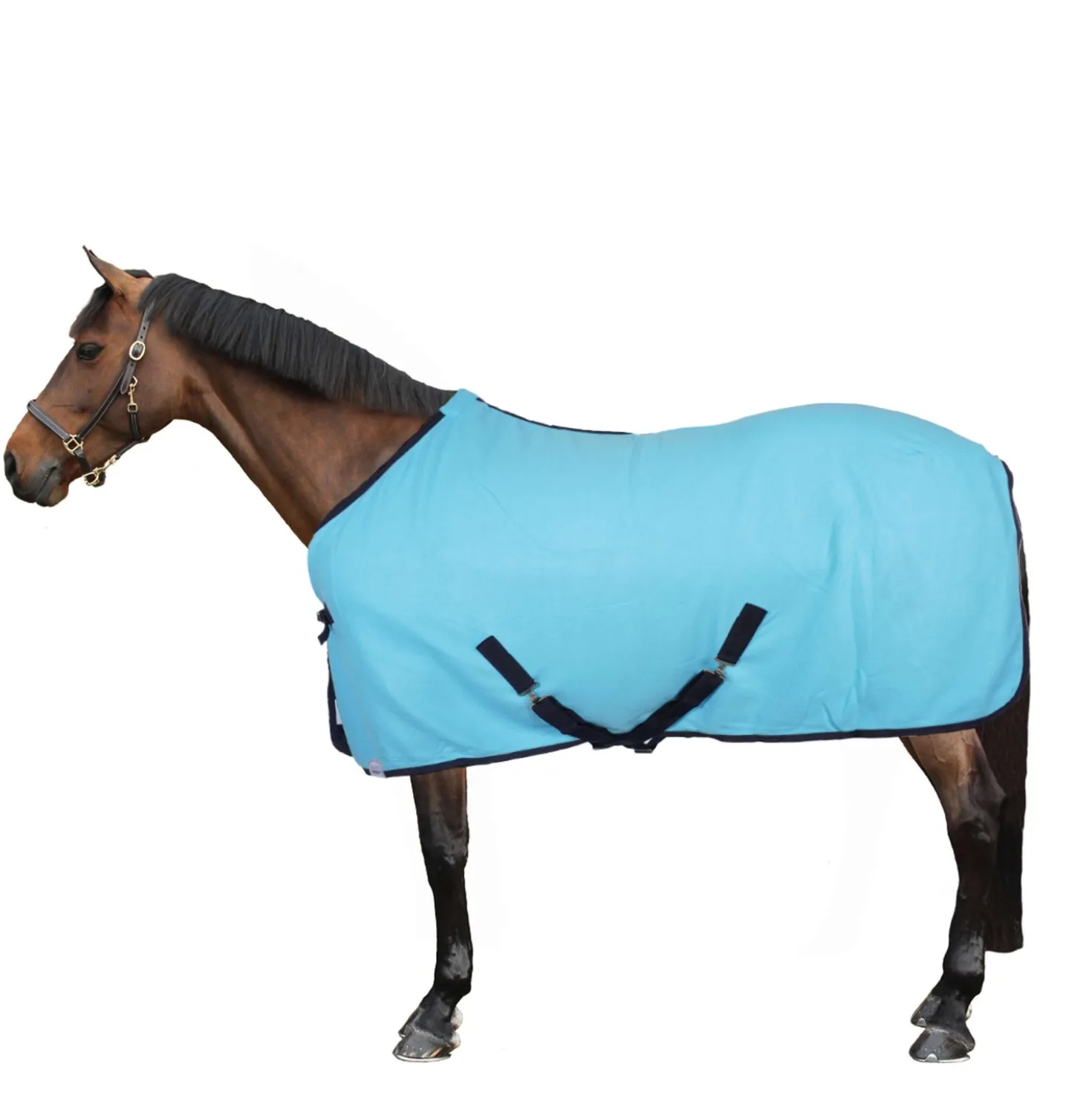 Harry's Horse Fleecedeken Colours Turquoise