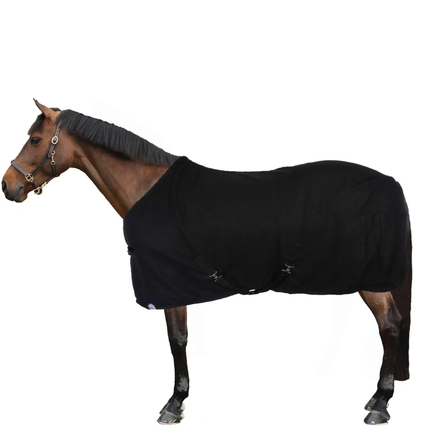 Harry's Horse Fleecedeken Colours Zwart