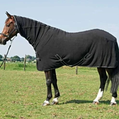 Harry's Horse Fleecedeken met Hals Zwart