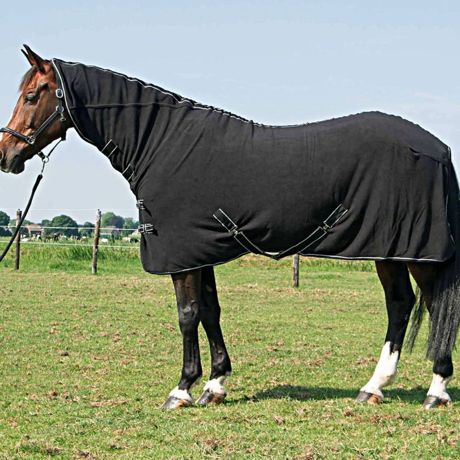 Harry's Horse Fleecedeken met Hals Zwart