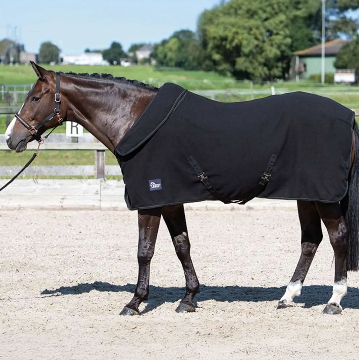 Harry's Horse Fleecedeken met Oprolbare Hals Zwart