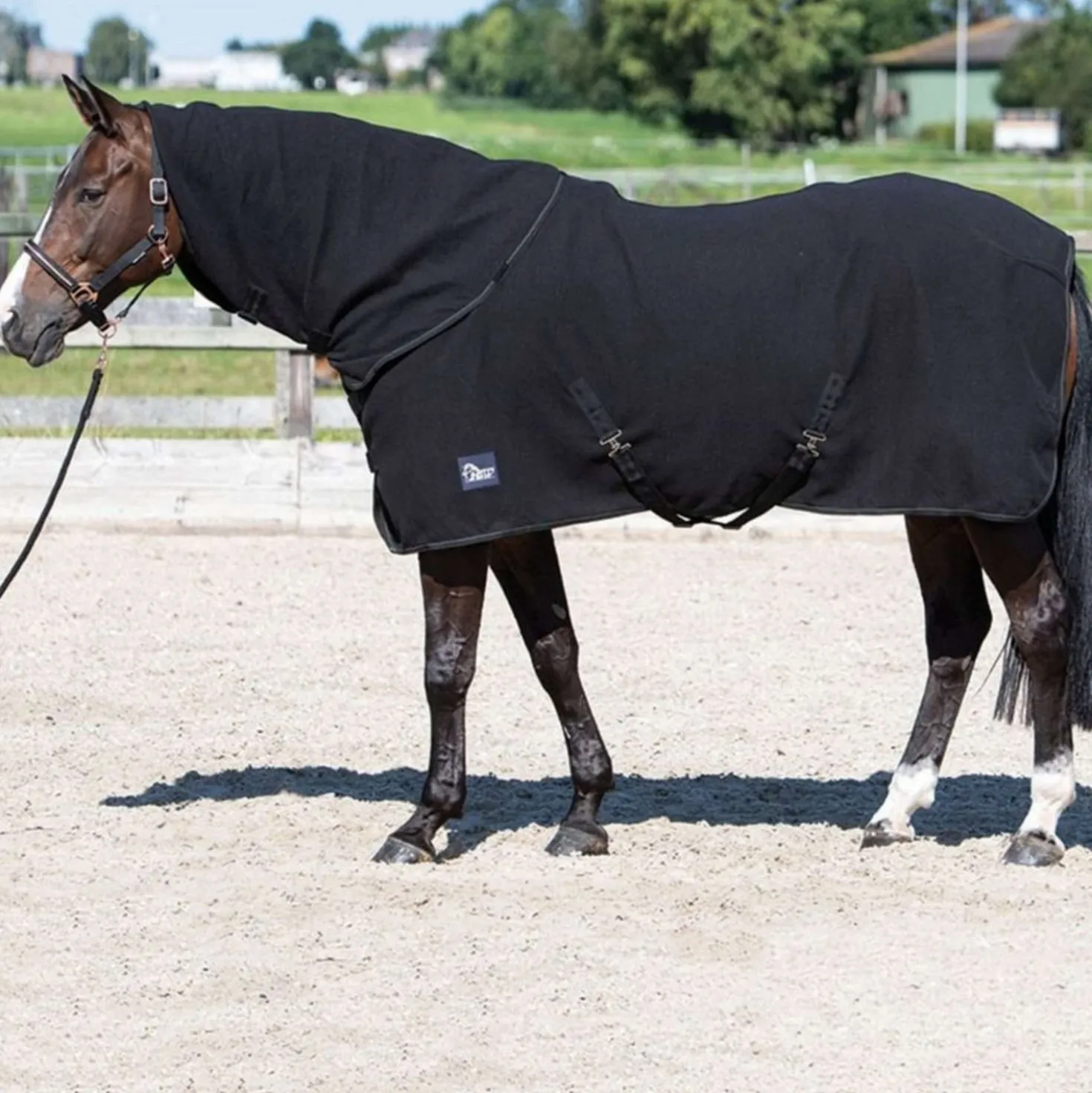 Harry's Horse Fleecedeken met Oprolbare Hals Zwart