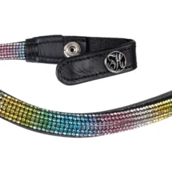 Harry's Horse Frontriem Rainbow Regenboog