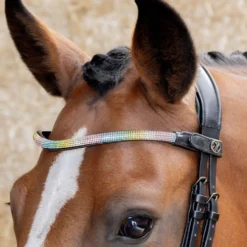Harry's Horse Frontriem Rainbow Regenboog