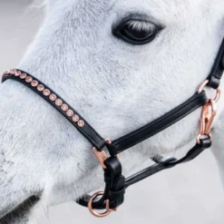 Harry's Horse Halster Crystal Zwart/Roségoud