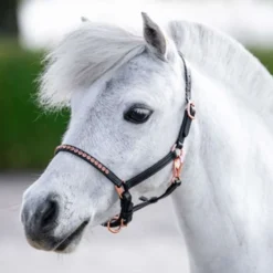 Harry's Horse Halster Crystal Zwart/Roségoud