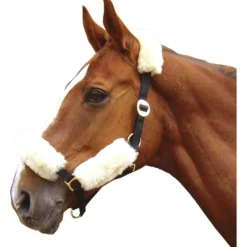 Harry's Horse Halster Lamsvel Bontset Naturel